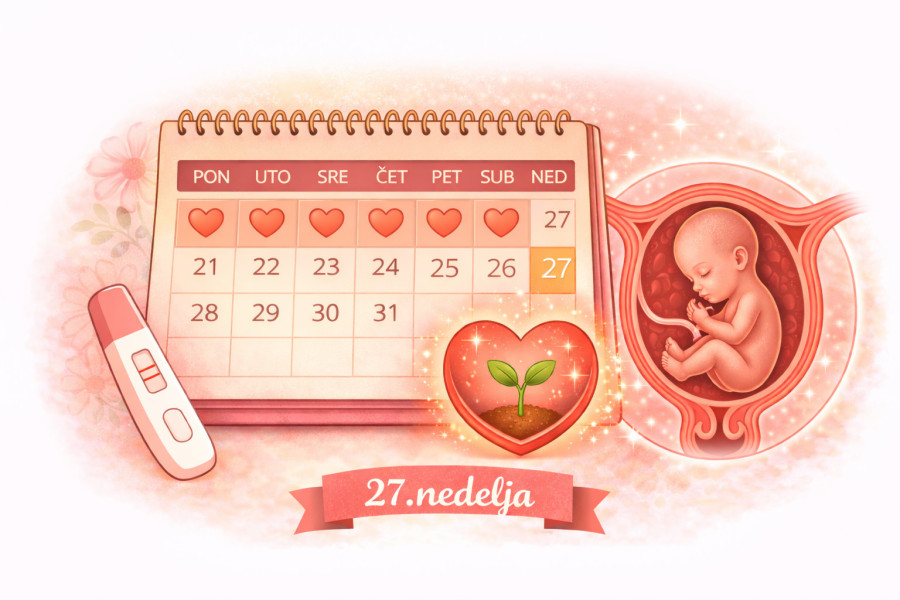 27. nedelja trudnoće